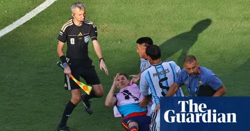 Argentina Players Face Potential Bans After Violent World Cup Final Brawls